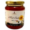 Castagno - Miele Biologico Italiano 500g